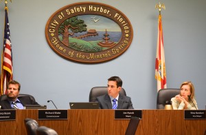 Safety Harbor Mayor Joe Ayoub announced on Thursday that he would seek a second term in office.