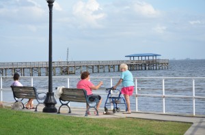 Citizens enjoy the scenic Safety Harbor waterfront.