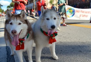 2013 Safety Harbor Holiday Parade.