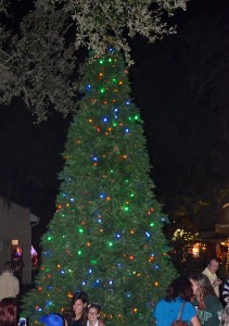 Safety Harbor's Christmas tree.