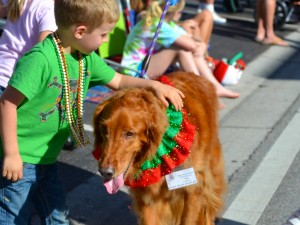 Safety Harbor's Doggie Date Night is Friday, Jan. 10 from 6-8 p.m. at City Park.