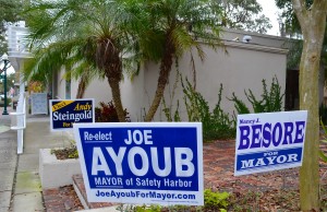 Campaign signs on Main Street