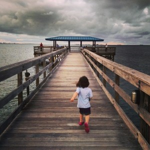 This beautiful shot of the Safety Harbor Pier was taken by Pete Tanner.