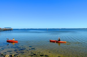 Kayakers at the Safety Harbor Marina