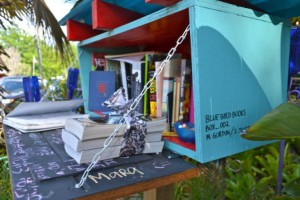 Little Free Library at the Whimzey House.