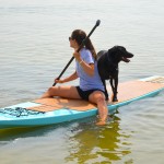 An Orange Board on the water at the Paddle For Kids SUP race.