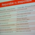 A slide highlighting the differences between puppy mills and responsible breeders.