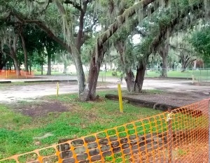 Trees marked for removal at the Safety Harbor Spa.