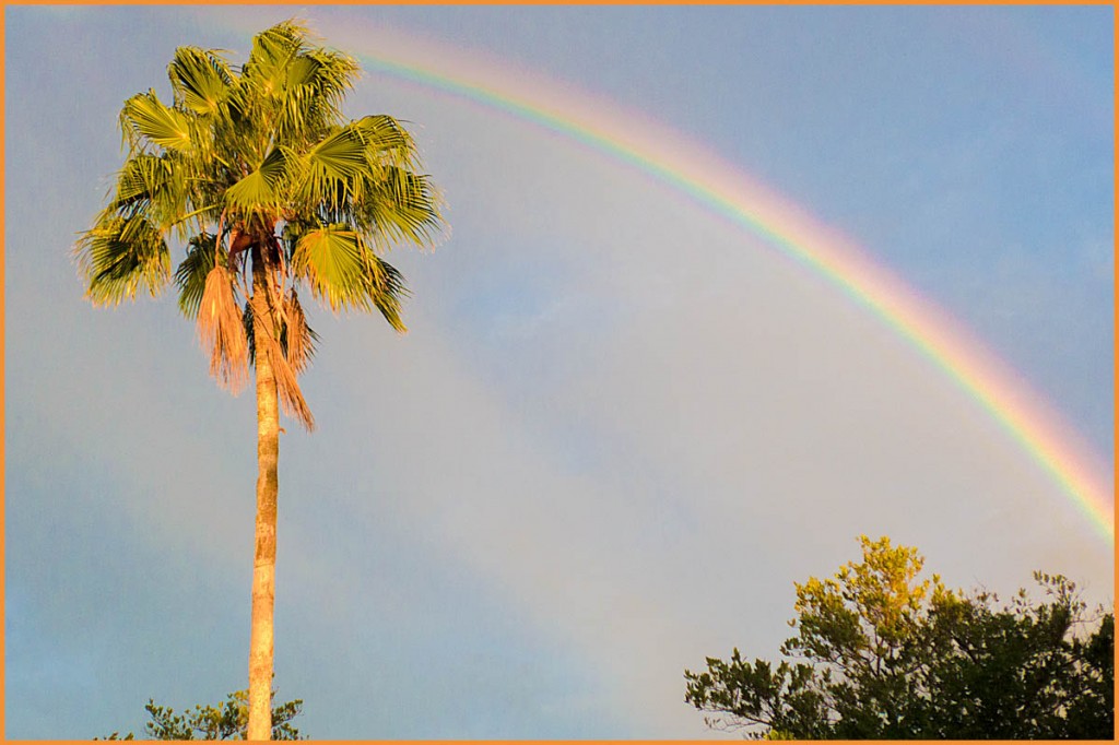 Dave Hutchinson recently submitted this terrific shot of a rainbow over Philippe Park. Credit: Dave Hutchinson.