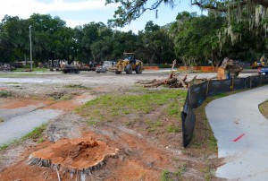Trees removed at the Safety Harbor Resort and Spa recently sparked outrage in Safety Harbor.