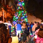 Safety Harbor Christmas tree