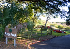 Folly Farms