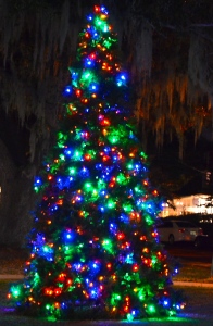 Safety Harbor Christmas Tree.