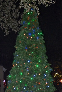 Safety Harbor Christmas Tree.