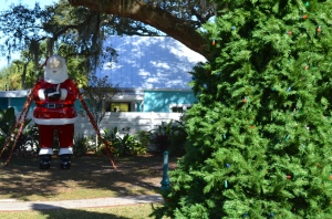 The 2014 Safety Harbor Christmas Tree Lighting Ceremony takes place Friday, Dec. 5 at 6:00 pm.