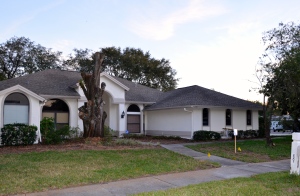 The unauthorized removal of a tree at 2310 Eaton Ct. in Safety Harbor led to a $5,ooo fine for the homeowner.