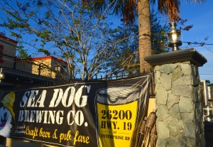 Sea Dog Brewery is located at 26200 US Hwy 19 N. in Clearwater.