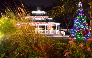 The holiday season in Safety Harbor contains a special charm, thanks to the city's quaint downtown district and a sleighful of fun, traditional events.