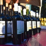 The Safety Harbor Wine Festival.