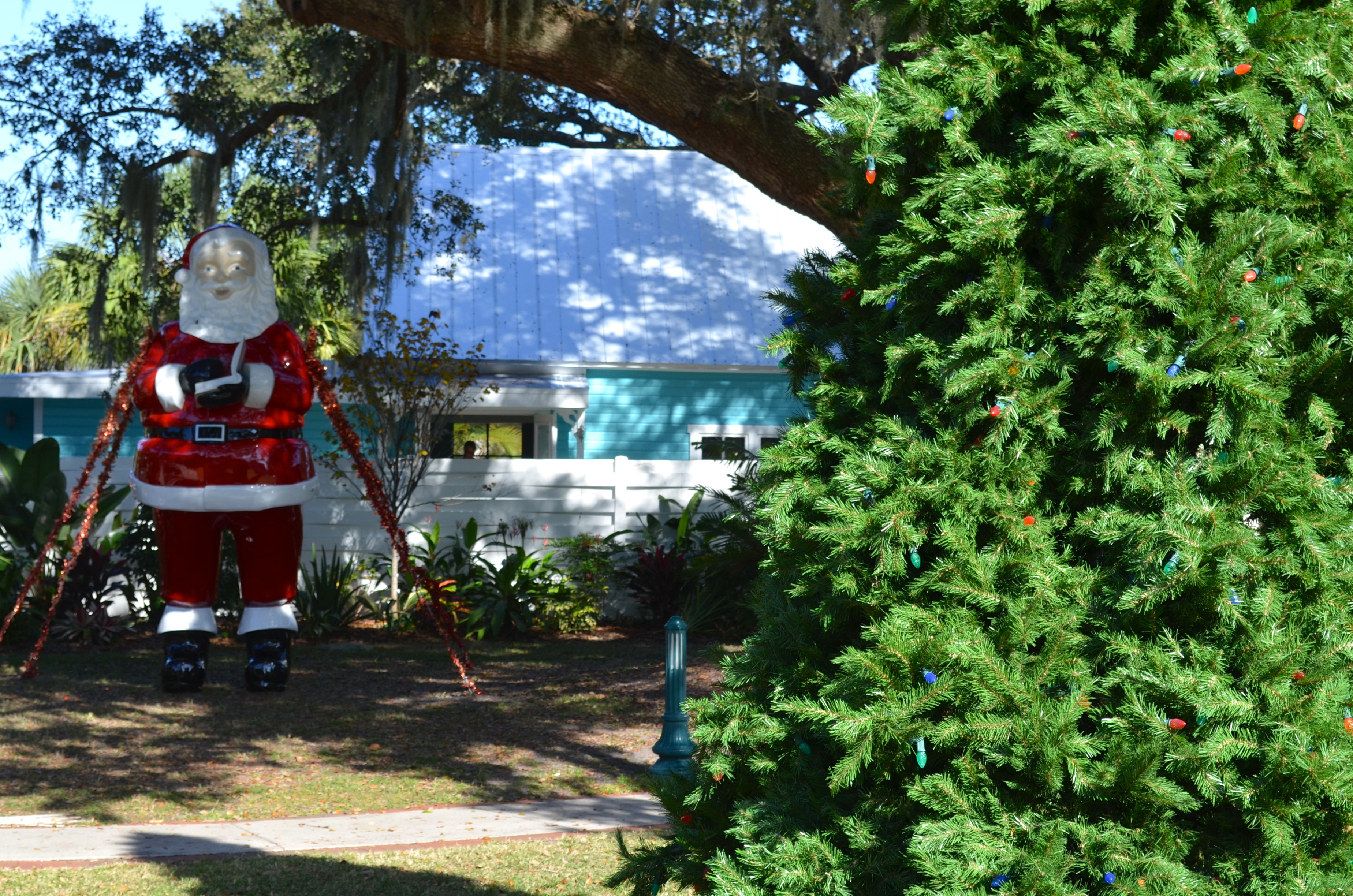 Safety Harbor Christmas Tree Lighting What You Need To Know