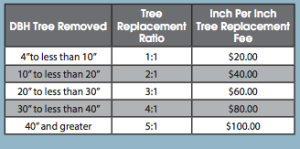 The Safety Harbor tree ordinance replacement fee schedule.