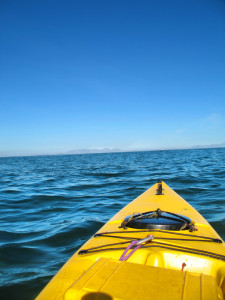 Safety Harbor Recreation Kayak Camp