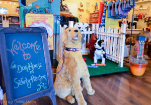 A number of businesses have opened in downtown Safety Harbor in the past couple of months, including the Dog House at 737 Main St.