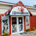 Signs at the Dog House of Safety Harbor led to a heated "signgate" debate last month.