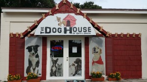 The Dog House