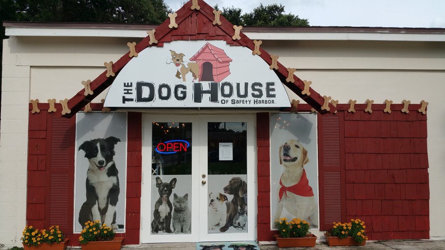 The Dog House Lends a Paw - Safety Harbor Connect