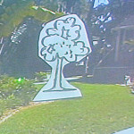 Safety Harbor arborist Art Finn depicted where new trees could be planted in Mr. Oberacker's yard.