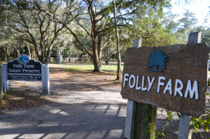 Folly Farms is a new passive parkspace in Safety Harbor.