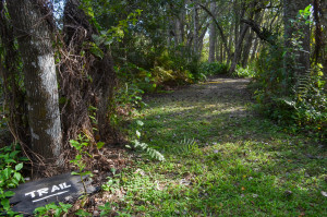 The entrance to the nature trail at Folly Farm Nature Preserve in Safety Harbor.