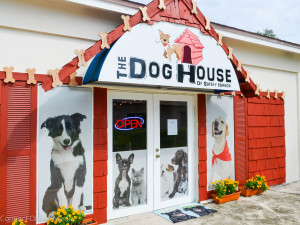 Signage at the Dog House of Safety Harbor, among other downtown businesses, led to a discussion about potential changes to the city's sign code back in October.