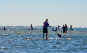 The Blake Real Estate Paddle By The Bay event is one of many special events taking place in Safety Harbor this spring.
