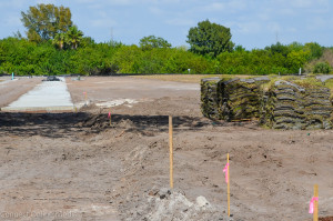 Work on Phase 1-A of Safety Harbor's Waterfront Park, which including installing a sidewalk and laying sod, is expected to be completed next week.