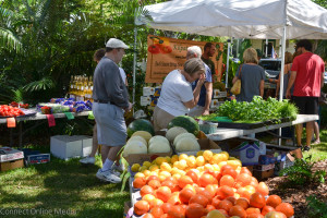 Vistitors to Safety Harbor's Famers Market on Main check out the goods at Kilpatrick Produce.