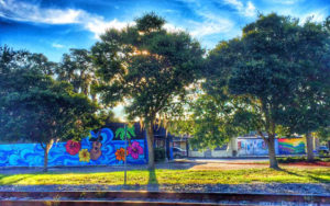 Murals painted on the side of the Cox Cleaners and Joey Biscotti buildings in downtown Safety Harbor have helped spur the recent art "revolution" in town, according to one local artist. Photo Credit: Gin Hol/SHAMC