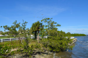Work on the next phase of Safety Harbor’s Waterfront Park, which includes adding a boardwalk along the shore as well as sidewalks and parking spaces, is set to begin in the next week or so and will take approximately six months to complete.