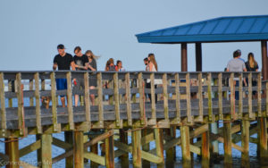 The Safety Harbor Marina is a haven for Poke Stops, making the city one of the hottest places in Pinellas County to play Pokemon GO.