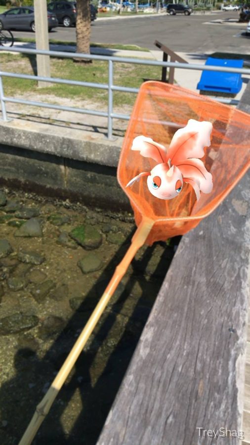 Safety Harbor Parks & Rec Pokemon GO Safety Harbor Connect