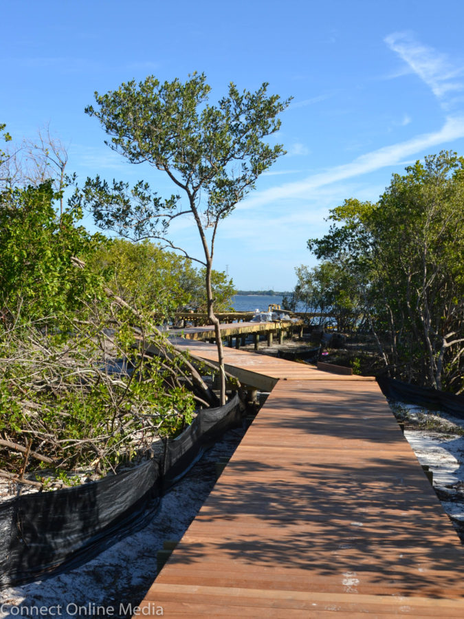 safetyharborwaterfrontparkboardwalk19 Safety Harbor Connect