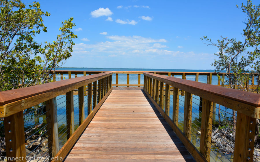 The boardwalk section of Safety Harbor's Waterfront Park opened to the public last Friday, and the shoreline attraction offers a serene experience amid stunning natural beauty.