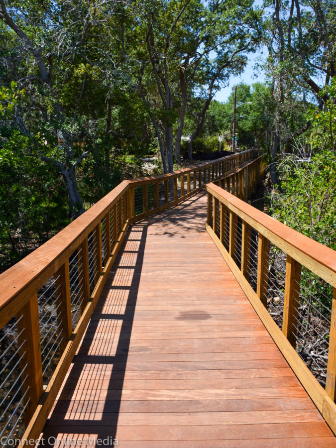Safety Harbor Waterfront Park boardwalk45 Safety Harbor Connect