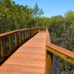 The Safety Harbor waterfront park boardwalk opened to the public on Friday, May 5, 2017.