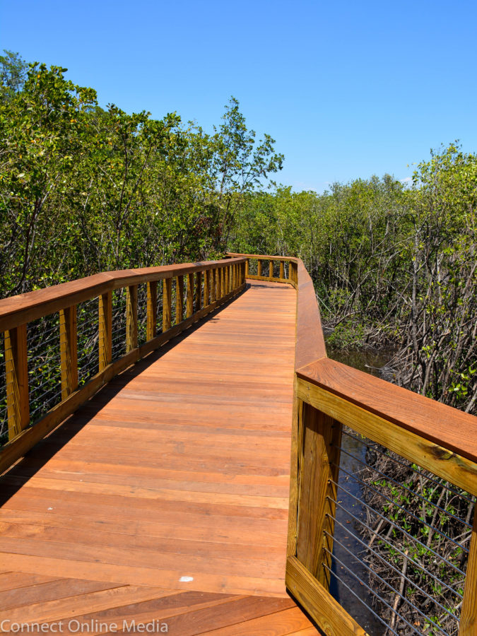 Safety Harbor Waterfront Park boardwalk5 Safety Harbor Connect