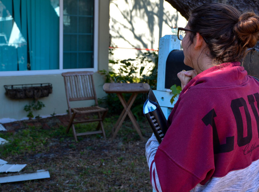Tree falls on Safety Harbor home-11 ad-mania