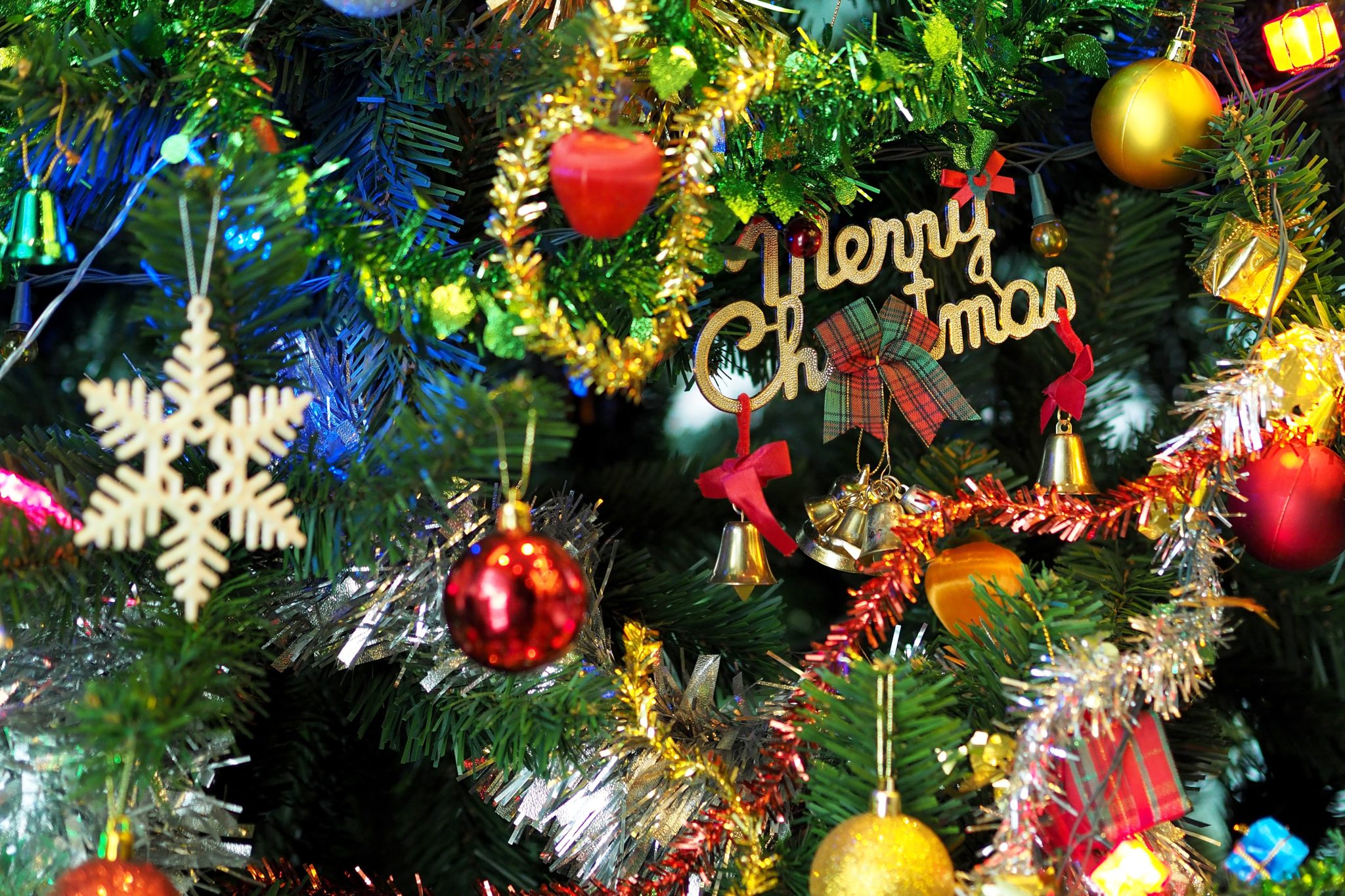 Harbor Holiday Nights & Trolley Light Tour Safety Harbor Connect