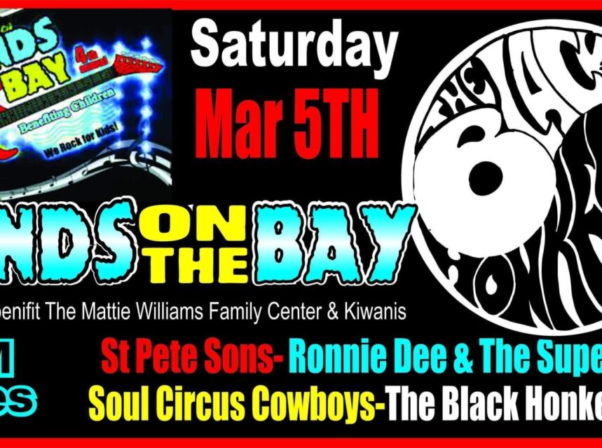 bands on the bay bands on the bay - Safety Harbor FL